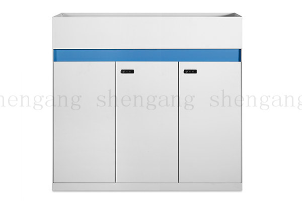 SG-GG01